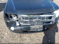 2010 Ford Escape — photo 6 of 11 | VIN 1FMCU0DGXAKD06097