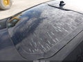 2020 Ford Fusion — photo 14 of 21 | VIN 3FA6P0G71LR119114