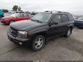 2008 Chevrolet Trailblazer — photo 2 of 17 | VIN 1GNDT13S682116127