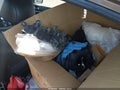 2010 Infiniti G37 — photo 12 of 15 | VIN JN1CV6AP5AM408083