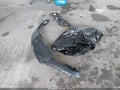 2024 Honda Civic — photo 12 of 17 | VIN 2HGFE2F5XRH591930