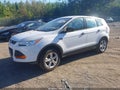 2013 Ford Escape — photo 2 of 17 | VIN 1FMCU0F70DUD32519