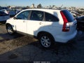 2009 Honda CR-V — photo 3 of 12 | VIN JHLRE38779C012687