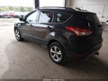 2014 Ford Escape — photo 3 of 11 | VIN 1FMCU0G92EUC52060