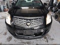 2013 Cadillac SRX — photo 6 of 14 | VIN 3GYFNCE36DS649584