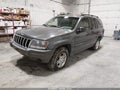 2002 Jeep Grand Cherokee — photo 2 of 11 | VIN 1J8GW48S02C249676