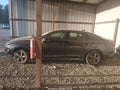 2021 Kia K5 — photo 15 of 19 | VIN 5XXG14J29MG055554