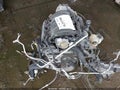 2021 GMC Sierra 1500 — photo 10 of 15 | VIN 3GTP9EEL1MG189554