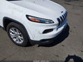 2018 Jeep Cherokee — photo 17 of 17 | VIN 1C4PJMCB3JD586316