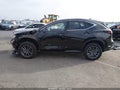 2026 Lexus NX — photo 15 of 20 | VIN JTJHKCFZ8T2096308