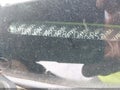 2008 Honda CR-V — photo 12 of 12 | VIN JHLRE48788C036551