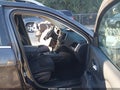2015 Jeep Cherokee — photo 5 of 19 | VIN 1C4PJMCBXFW640819
