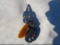 1985 Chevrolet Corvette — photo 11 of 11 | VIN 1G1YY0788F5129521
