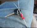 1999 Toyota 4Runner — photo 11 of 11 | VIN JT3HN87R5X0224144