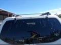 2007 Nissan Pathfinder — photo 15 of 16 | VIN 5N1AR18U67C600601
