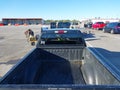 2009 Chevrolet Colorado — photo 17 of 17 | VIN 1GCCS199X98160707