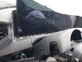 2026 Ford Mustang — photo 15 of 16 | VIN 1FA6P8CF3T5409353