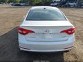 2017 Hyundai Sonata — photo 16 of 17 | VIN 5NPE34AF9HH455919