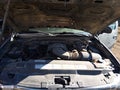 1999 Ford F-150 — photo 10 of 16 | VIN 1FTRX18WXXKA29912