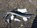 2020 Hyundai Elantra — photo 12 of 17 | VIN 5NPD84LF5LH591872