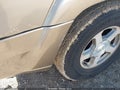 2006 Chevrolet Trailblazer — photo 6 of 12 | VIN 1GNDT13S662219691