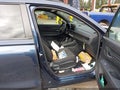 2026 Honda CR-V — photo 5 of 16 | VIN 7FARS6H54TE132225