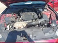 2019 Ford Mustang — photo 10 of 16 | VIN 1FATP8UH6K5178675