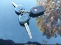 2002 Toyota Camry — photo 11 of 11 | VIN JTDBE32K720101940