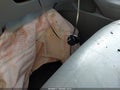 2013 Toyota Highlander — photo 11 of 17 | VIN 5TDBK3EH3DS248572