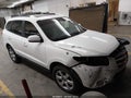 2007 Hyundai Santa Fe — photo 1 of 15 | VIN 5NMSH13E97H026850