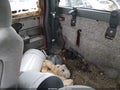 2005 Chevrolet Silverado 1500 — photo 8 of 19 | VIN 1GCEC19T25Z259138