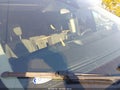 2021 Ford Transit-350 — photo 18 of 18 | VIN 1FBAX2C81MKA71770
