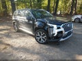 2020 Hyundai Palisade — photo 1 of 16 | VIN KM8R44HE3LU061726