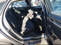 2013 Ford Fusion — photo 8 of 15 | VIN 3FA6P0H70DR316906