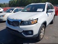 2011 Kia Sorento — photo 13 of 14 | VIN 5XYKT4A14BG090071