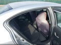 2013 Honda Civic — photo 8 of 11 | VIN 2HGFB2F52DH546403