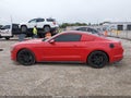2019 Ford Mustang — photo 14 of 16 | VIN 1FA6P8TH9K5115245