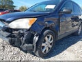 2009 Honda CR-V — photo 6 of 13 | VIN JHLRE48589C007602
