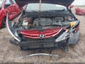 2013 Hyundai Sonata — photo 10 of 14 | VIN 5NPEB4ACXDH698058