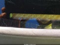 2016 Honda Accord — photo 9 of 16 | VIN 1HGCR2F3XGA098444