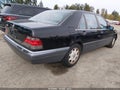 1996 Mercedes-Benz S-Class — photo 4 of 15 | VIN WDBGA43E3TA309405