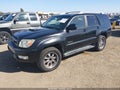 2004 Toyota 4Runner — photo 2 of 13 | VIN JTEZT14R640015620