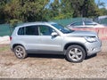 2010 Volkswagen Tiguan — photo 13 of 16 | VIN WVGBV7AX7AW537909