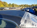 2006 Honda Accord — photo 6 of 16 | VIN 1HGCM56396A149527