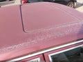 1990 Mercedes-Benz 300 — photo 13 of 13 | VIN WDBCA24D9LA524991