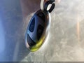 2025 Hyundai Elantra — photo 11 of 16 | VIN KMHLS4DG1SU852631