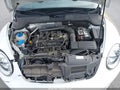 2017 Volkswagen Beetle — photo 10 of 16 | VIN 3VWF17AT9HM624720