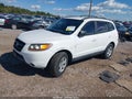 2009 Hyundai Santa Fe — photo 2 of 16 | VIN 5NMSG73D39H247201