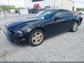 2014 Ford Mustang — photo 2 of 16 | VIN 1ZVBP8AM3E5251431