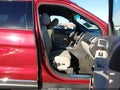 2014 Ford Explorer — photo 5 of 20 | VIN 1FM5K8F89EGA89671